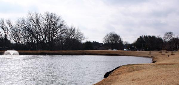The Duck Pond