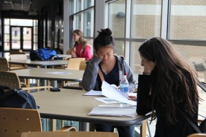IMG_1019_For_Web