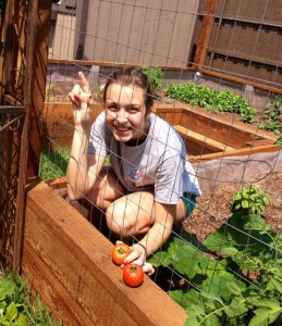 During harvest season junior Mercedes Rodriguez picks the blooming tomatoes in the Hulme's garden.