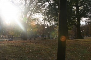 The late afternoon sun shines down brightly on one of Boston's parks with a blanket of variously colored leaves about the ground for commuters to awe. Photo by Tuulia Koponen. 