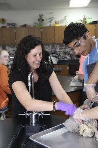 Anatomy teacher Jodie Deinhammer holds open a sheep lung for senior Imran Murtuza to dissect in class on Tuesday. Photo by Alyssa Frost.