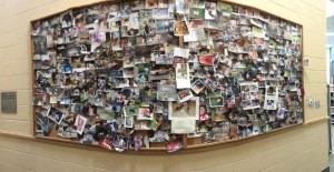 Operation Kindness displays pictures of all the animals who have been adopted near the lobby. Make a difference, adopt. Photo by Aubrie Sisk. 