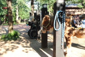 Spirit Horse Therapeutic Center, located in Corinth, Texas, provides equine therapy to 400 families a week at no cost. Founder Charles Fletcher established the ranch in 2002 with his own money. Photo by Mallorie Munoz.