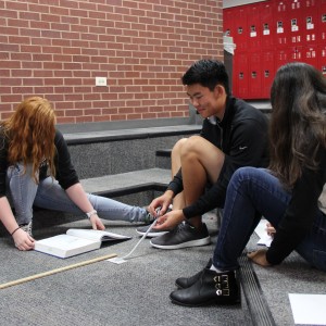 Coppell High School juniors Lauren Harris, Jonathan Goh and Megan Arimanda work on a lab with marbles during fifth period in the pit for AP/GT physics. They are learning about how friction and energy work on different surfaces.
