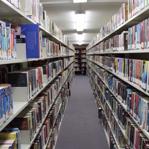 The Coppell Public Library is enduring renovations on Nov. 3. During this time, the library will continue to offer all the same programs they have before in different parts of town. They expect to move back into their old location in Fall 2016. Photo by Dani Lanni.