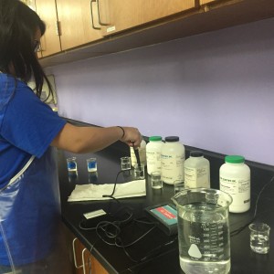 Coppell High School sophomore Victoria Kennedy works on her Chemistry lab during fourth period Pre-AP Chemistry on Tuesday. Susan’s Sheppard class is learning about how different substances have different electrical conductivity.  
