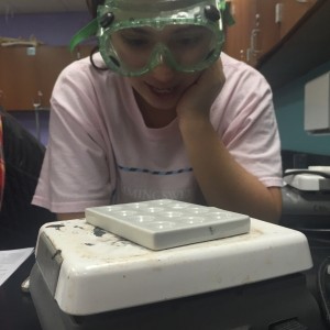 Coppell High School sophomore Dani Castillo observºes different substances for her Pre-AP Chemistry lab on Tuesday during fifth period. Susan’s Sheppard class is observing how long it takes for different substances to melt.  